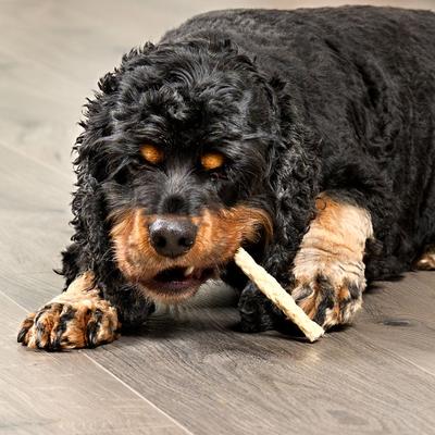 Beefhide Munchy Sticks 5-in Natural Flavor Dog Chews, 1.5-lb bag