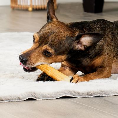 Combo Beefhide Chip Rolls 5-in with Chicken Meat Wrap Dog Chews, 10 count