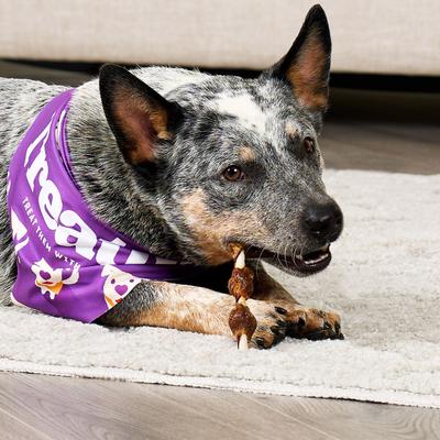 Combo Pork Flavor Rawhide Kabob 5-in with Duck & Chicken Meat Wrap Dog Chews, 18 count