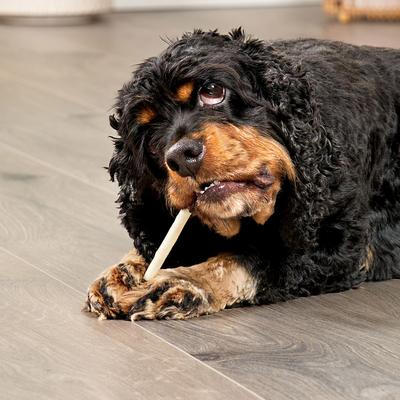 Beefhide Twist Sticks 5-in Natural Flavor Dog Chews, 1-lb bag