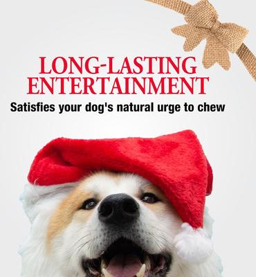 Triple Flavor Kabob Canes with Real Chicken Holiday Adult Hard Chew Dog Treats, 3.35-oz bag, 5 count