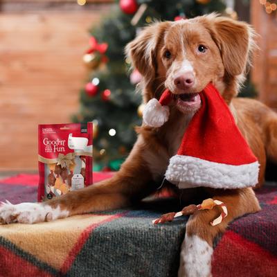 Triple Flavor Kabob Canes with Real Chicken Holiday Adult Hard Chew Dog Treats, 3.35-oz bag, 5 count