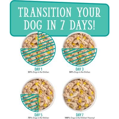 Alimento húmedo para perros desmenuzado sin cereales Dogs in the Kitchen, paquete variado de pollo, pavo y salmón, lata de 10 oz, caja de 12