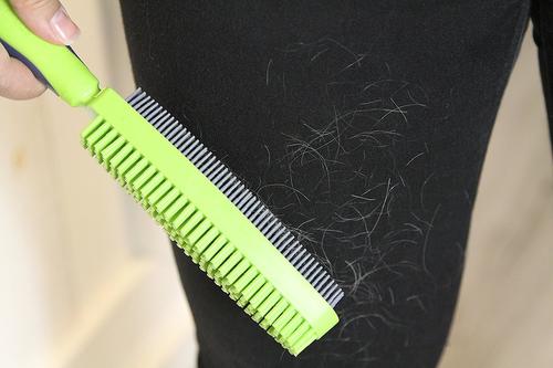 Duo Dual-Sided Grooming & Hair Removal Dog & Cat Brush, Color Varies