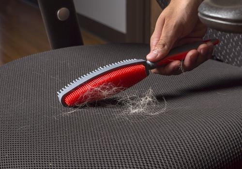 Duo Dual-Sided Grooming & Hair Removal Dog & Cat Brush, Color Varies