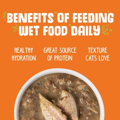 Pumpkin Patch Pounce Variety Pack Canned Cat Food, 3-oz, pack of 12