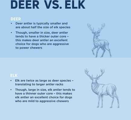 Split Elk Antler Dog Chew, Large