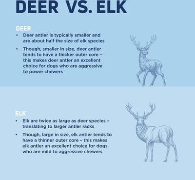 Masticable para perros de asta de alce partida, grande