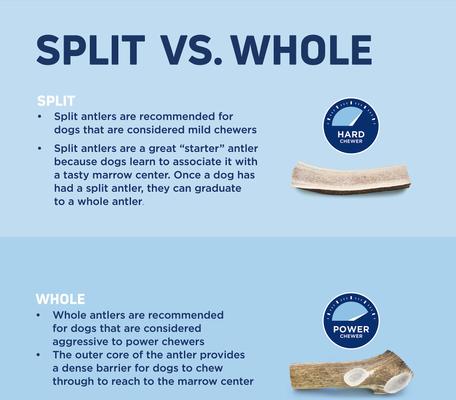 Split Elk Antler Dog Chew, Large