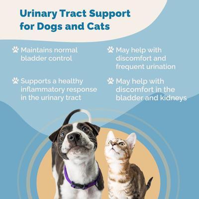 Urinary Tract Support for Urinary Tract Infections UTI Liquid Supplement for Cats & Dogs, 2-fl oz bottle