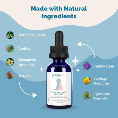 Urinary Tract Support for Urinary Tract Infections UTI Liquid Supplement for Cats & Dogs, 2-fl oz bottle