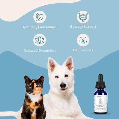 Urinary Tract Support for Urinary Tract Infections UTI Liquid Supplement for Cats & Dogs, 2-fl oz bottle