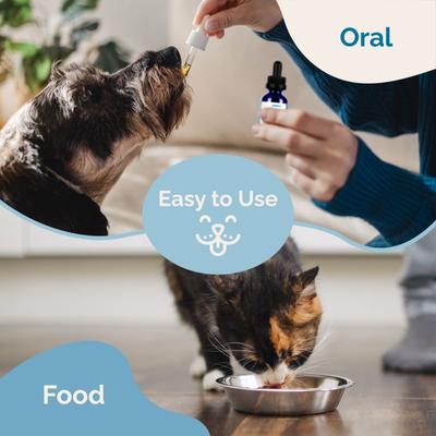 Suplemento líquido para el tracto urinario para gatos y perros, botella de 2 onzas líquidas.