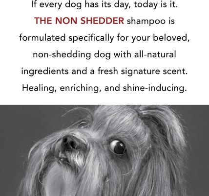 The Non Shedder Dog Shampoo, 16-oz bottle