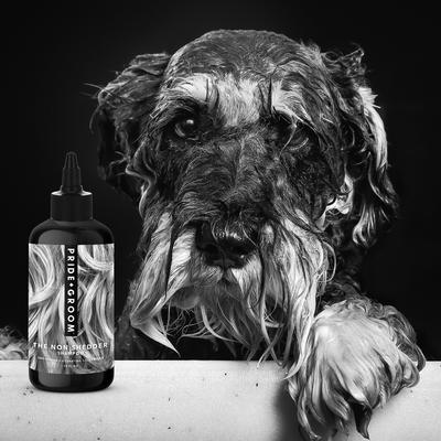 The Non Shedder Dog Shampoo, 16-oz bottle
