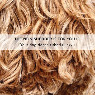 The Non Shedder Dog Shampoo, 16-oz bottle