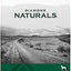Bundle: Diamond Naturals Large Breed Adult Chicken & Rice Formula Dry Food + Chicken Dinner Adult & Puppy Canned Dog Food