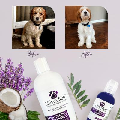 Brightening Dog & Cat Shampoo & Oatmeal Conditioner Set, 16-fl oz bottles, pack of 2