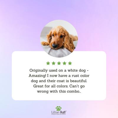 Brightening Dog & Cat Shampoo & Oatmeal Conditioner Set, 16-fl oz bottles, pack of 2