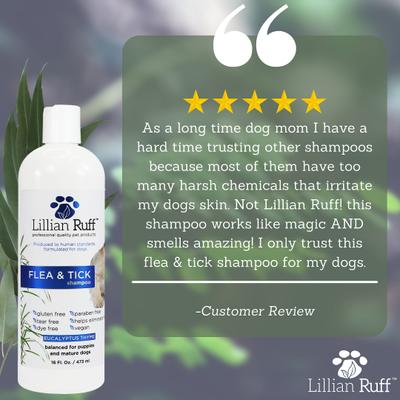 Flea & Tick Dog Shampoo, 16-fl oz bottle