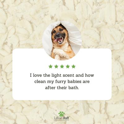 Oatmeal Dog & Cat Shampoo & Conditioner Set, 16-fl oz bottles, pack of 2