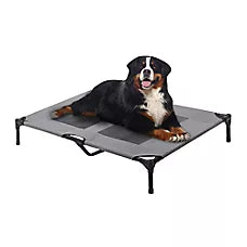 Arlee Home & Pet Cooling Elevated Mesh Pet Cot