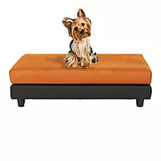 Club Nine Pets Snooze Collection Orthopedic Raised Dog Bed