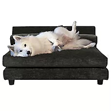 Club Nine Pets Roma Elevated Orthopedic Dog Bed