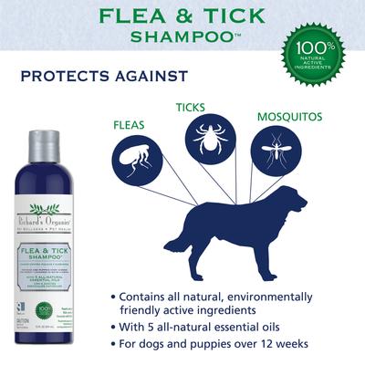 Flea & Tick Shampoo, 12-fl oz bottle