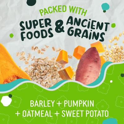 EarthBars Minis with Turkey Protein Natural Dog Biscuit Treats, 10-oz bag