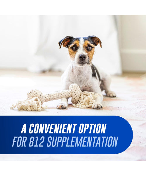 Nutramax, Cobalequin B12 Chewable Tablets, Gatos y Perros pequeños. 45 tabs.
