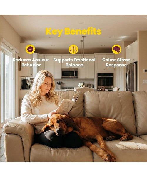 Boops Pets, Calming & Stress Relief KSM Ashwagandha. 30 chews