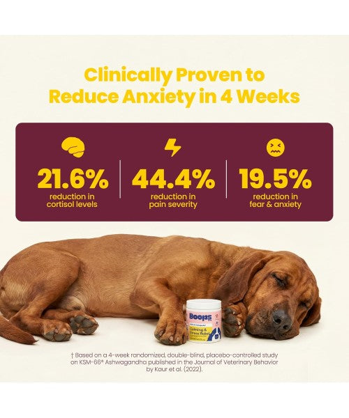 Boops Pets, Calming & Stress Relief KSM Ashwagandha. 30 chews