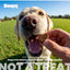 Boops Pets, Pre, Pro and Postbiotics for Dogs, 30 Billion. 90 chews