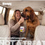 Boops Pets, Calming & Stress Relief KSM Ashwagandha. 30 chews