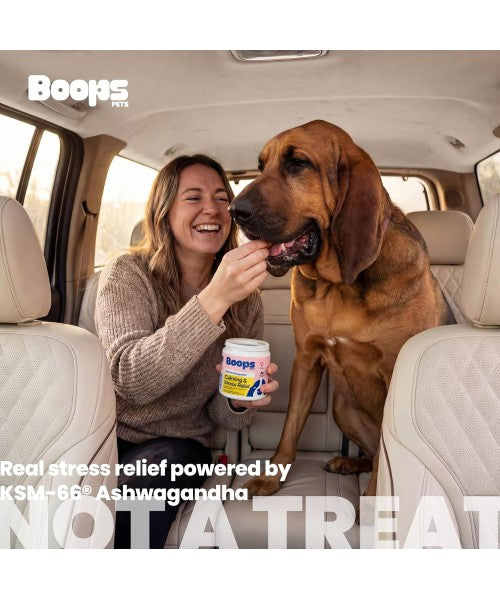 Boops Pets, Calming & Stress Relief KSM Ashwagandha. 30 chews