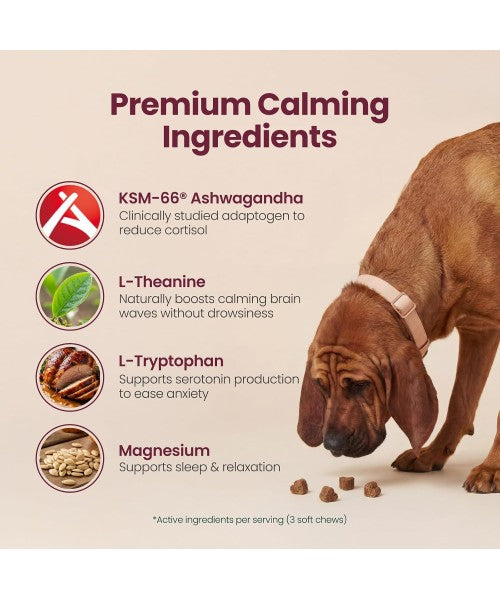 Boops Pets, Calming & Stress Relief KSM Ashwagandha. 30 chews