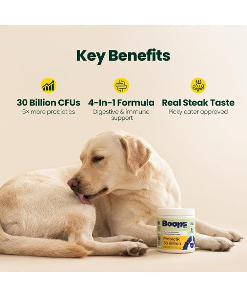Boops Pets, Pre, Pro and Postbiotics for Dogs, 30 Billion. 90 chews