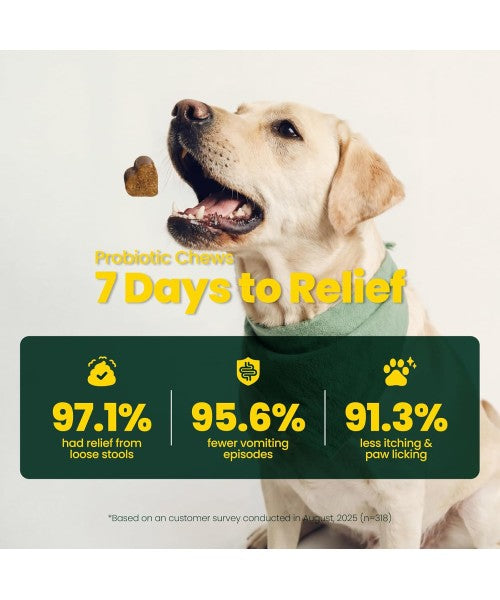 Boops Pets, Pre, Pro and Postbiotics for Dogs, 30 Billion. 90 chews