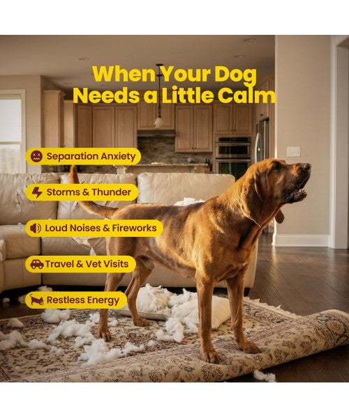 Boops Pets, Calming & Stress Relief KSM Ashwagandha. 30 chews