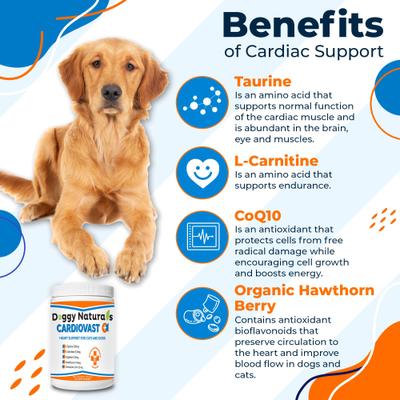 Cardiovast Heart Health Support Chicken Flavored Soft Chews Supplement for Cats & Dogs, 60 count