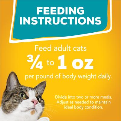 Tasty Treasures Gravy Prime Filets Variety Pack Wet Cat Food, 5.5-oz can, case of 12