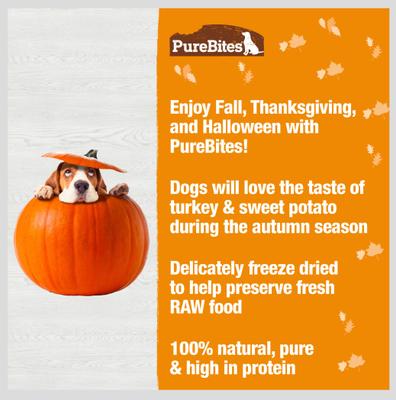 Turkey & Sweet Potato Freeze-Dried Dog Treats, 2.5-oz bag