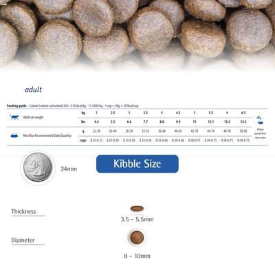 N&D Ancestral Lamb & Blueberry Low-Grain Dry Cat Food, 3.3-lb bag