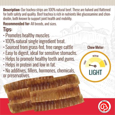 Trachea Flats Beef Flavored Dog Chews, 12 count