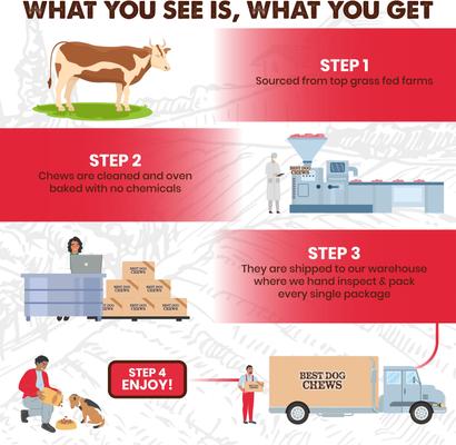 Trachea Flats Beef Flavored Dog Chews, 12 count