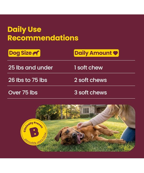 Boops Pets, Calming & Stress Relief KSM Ashwagandha. 30 chews