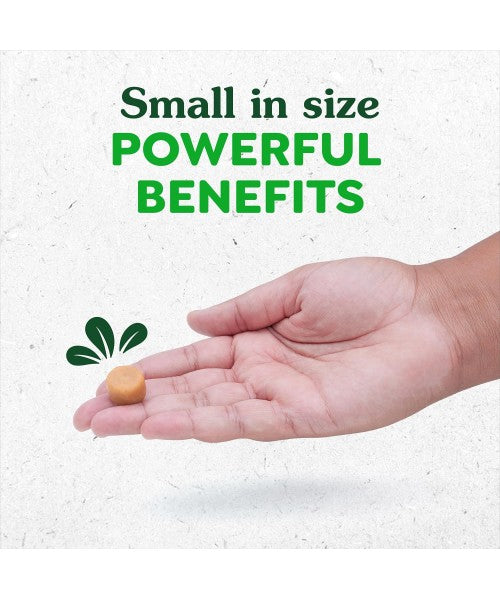 Greenies, Supplements Skin and Coat sabor Pollo. 80 chews