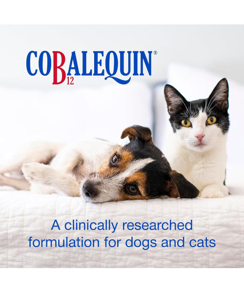 Nutramax, Cobalequin B12 Chewable Tablets, Gatos y Perros pequeños. 45 tabs.