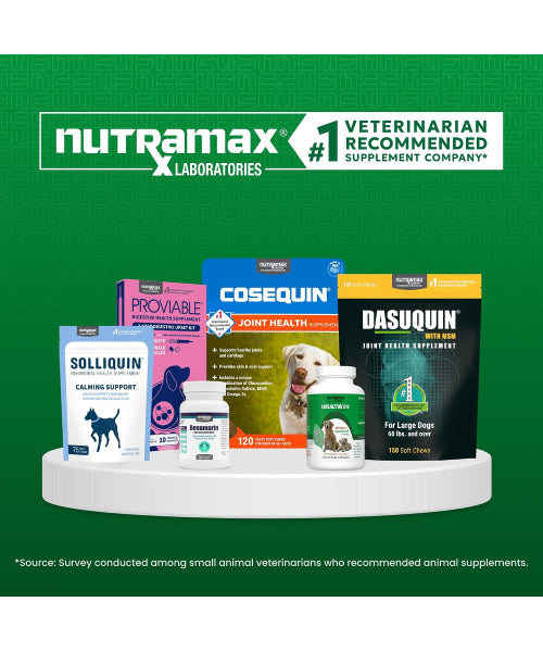 Nutramax, Cobalequin B12 Chewable Tablets, Gatos y Perros pequeños. 45 tabs.